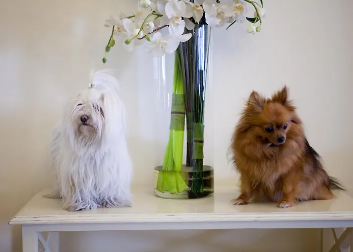 SperanzaHotel Jesolo